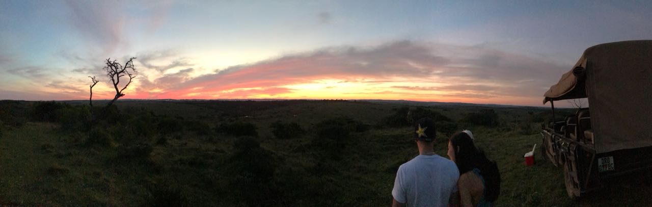 A wide view across the reserve's rolling bush.