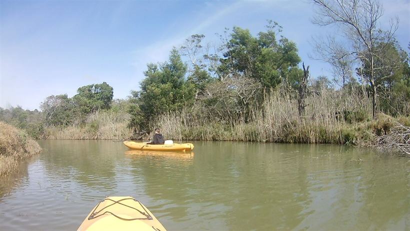 Paddlers in yellow canoes on the tidal estuary at Inkwenkwezi.