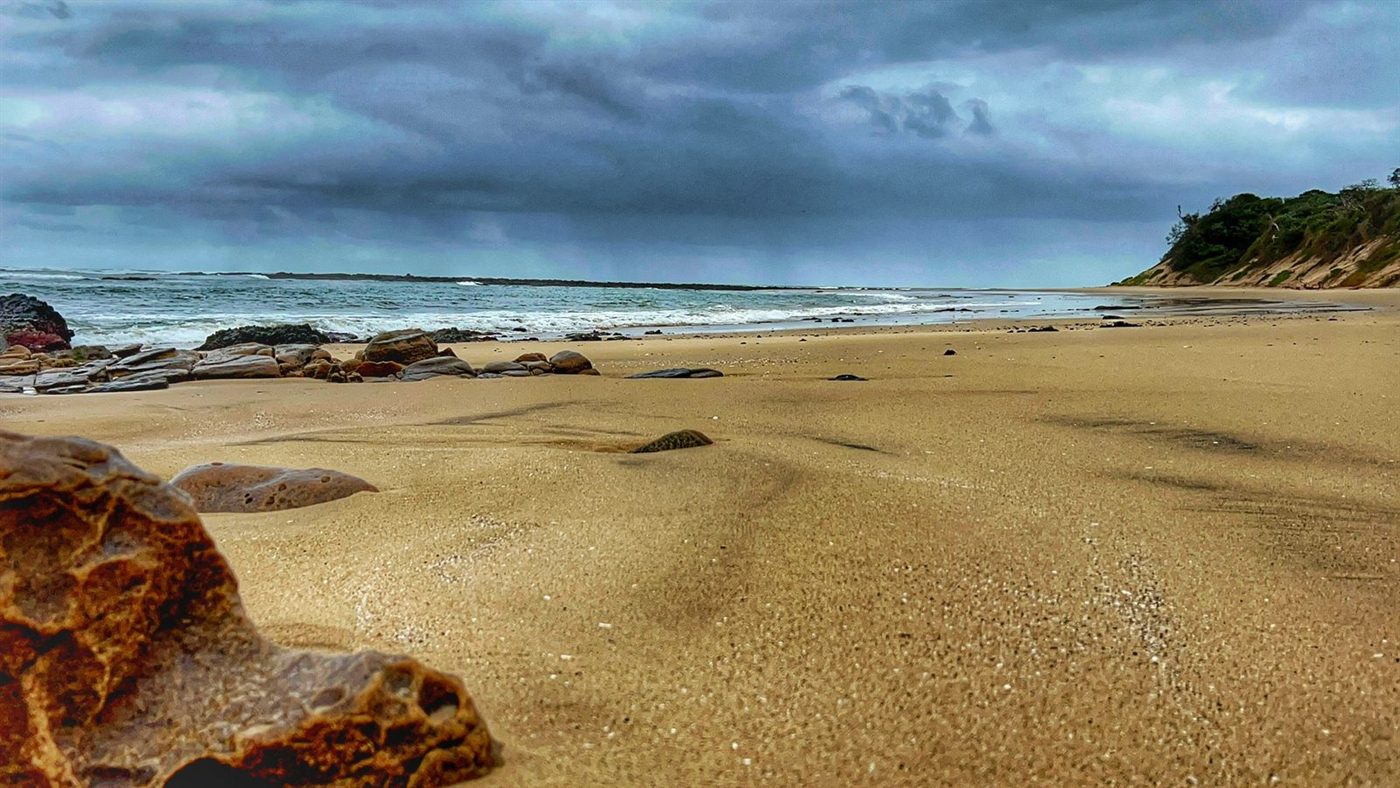 The view over dune vegetation towards the beach at Chintsa West.