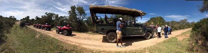 A game-drive vehicle and quad bikes parked together on the reserve.