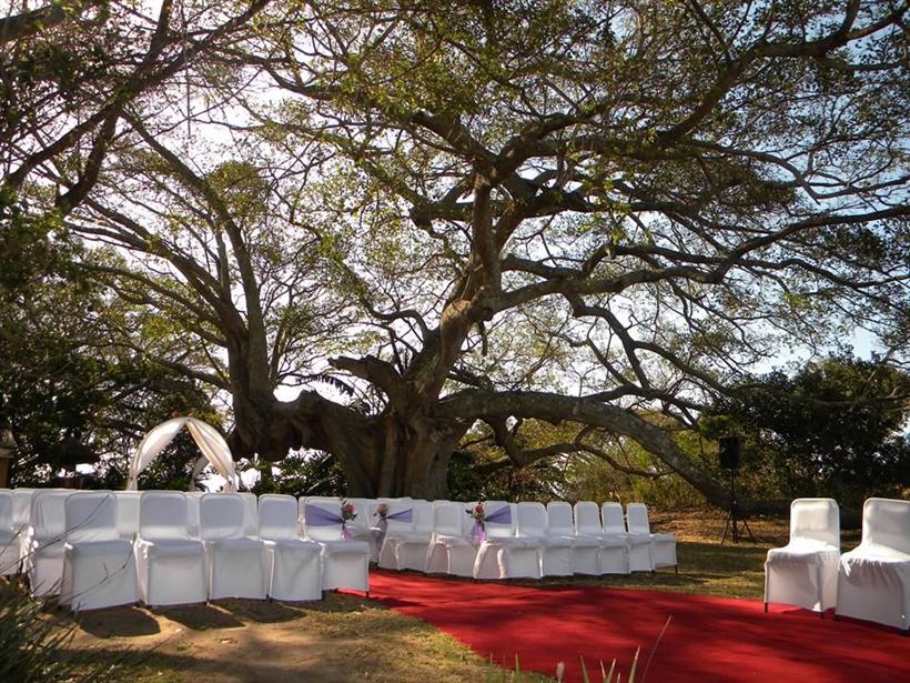 The reception venue dressed with fairy lights, Tiffany chairs and soft flowing fabrics.
