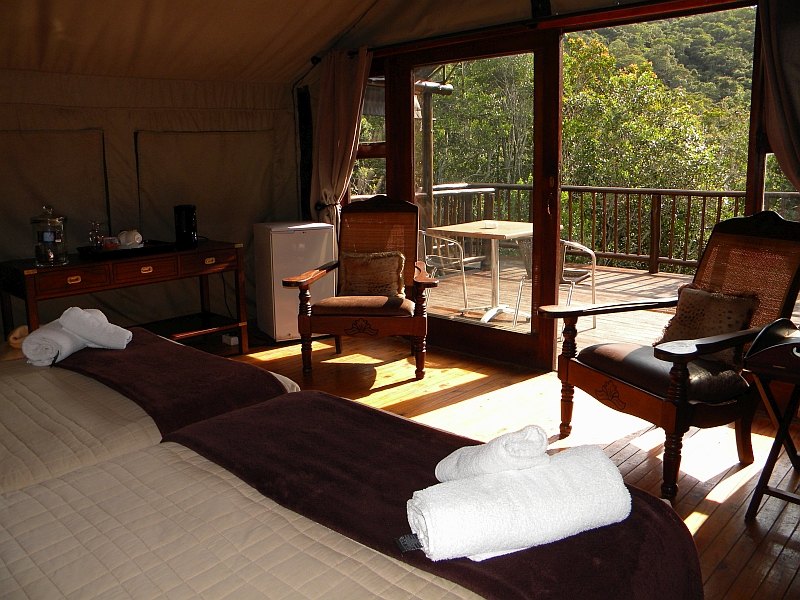 The exterior of a Valley Camp tent on its raised deck among trees.