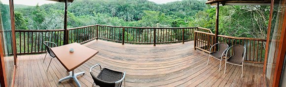 The view from a Valley Camp deck out across the wooded valley.